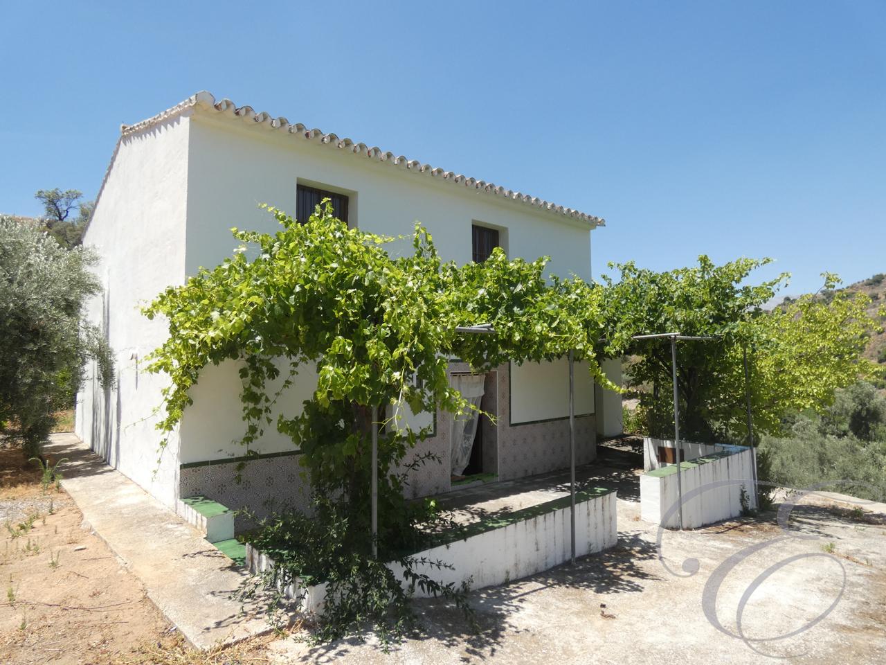 House in Malaga - view 1