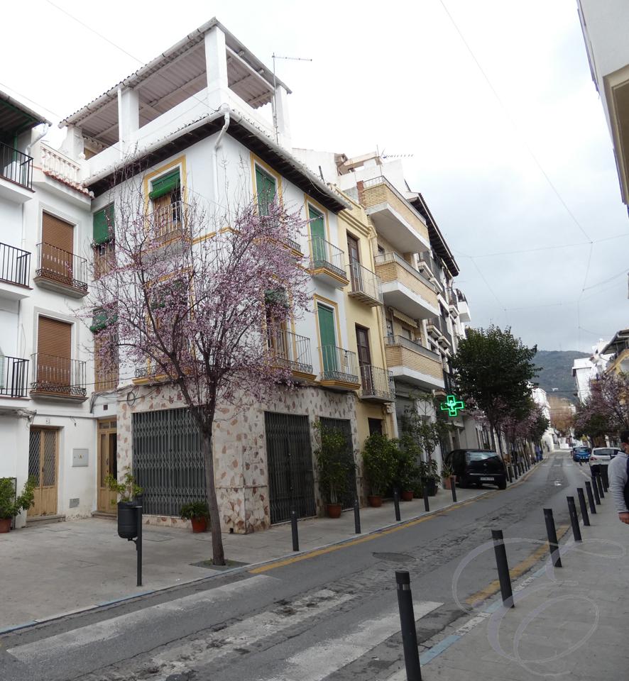 House in Granada - view 1