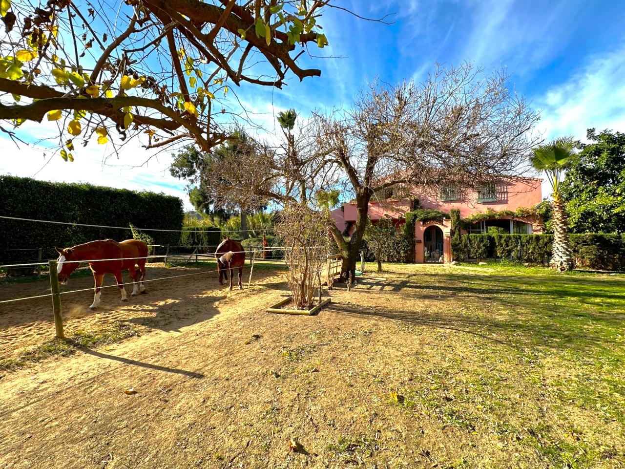 House in Estepona - view 1