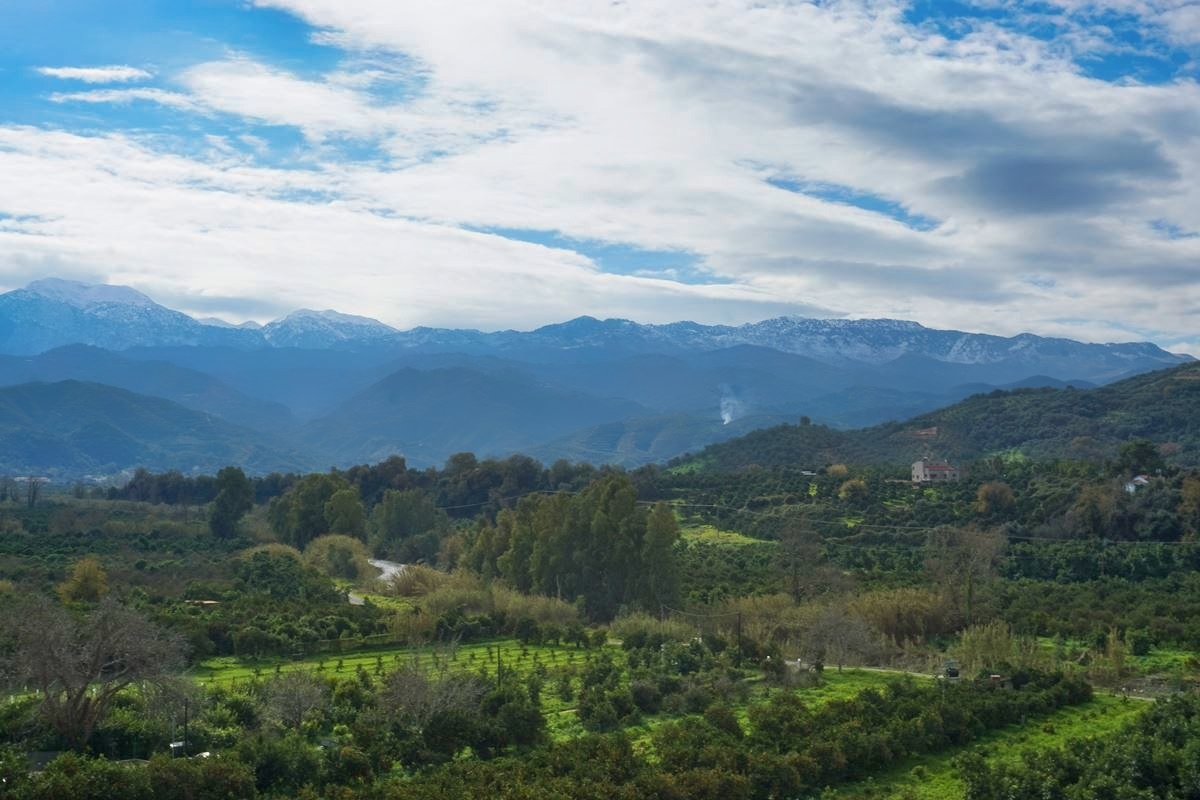 Land in Alikianos - view 1