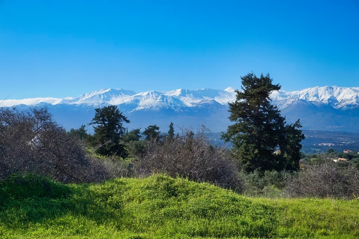 Land in Kokkinon Khorion - view 1