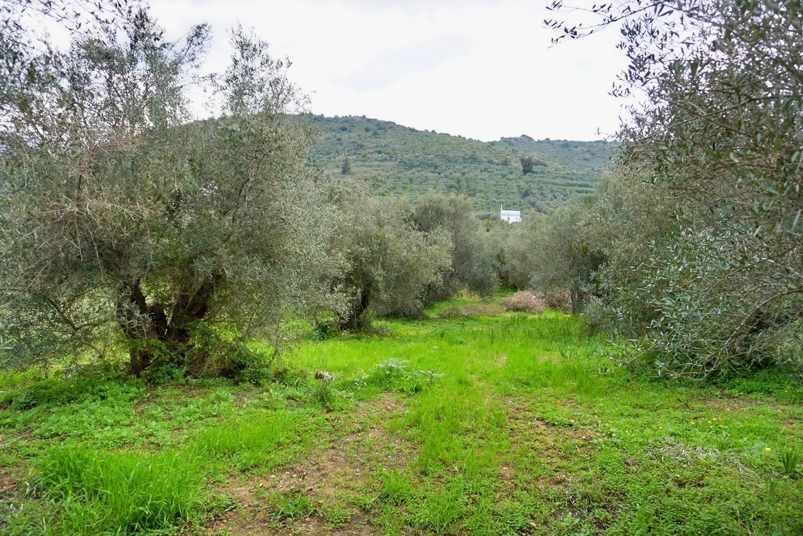 Land in Vafes - view 1