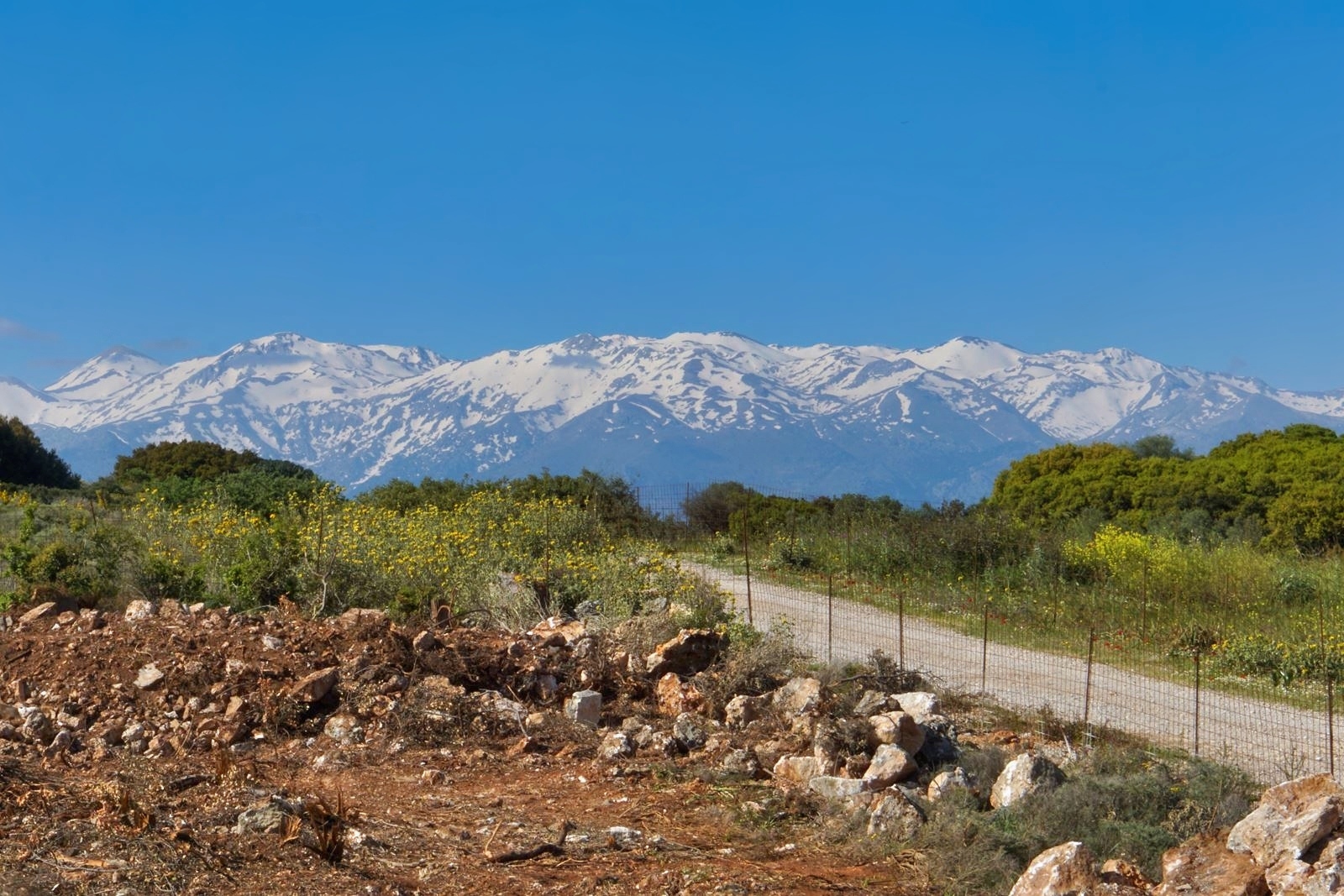 Land in Kathiana - view 1