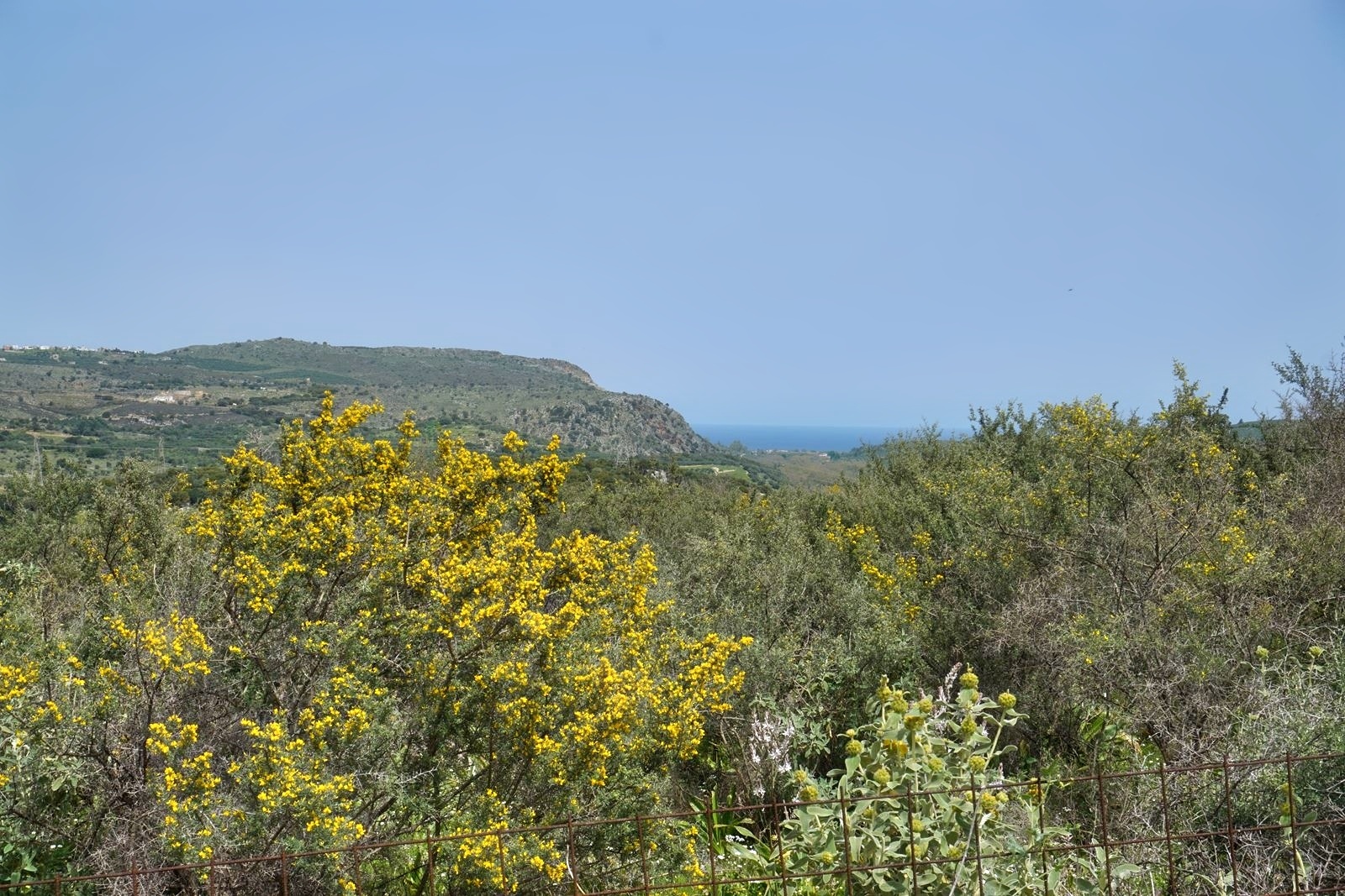 Land in Vafes - view 1