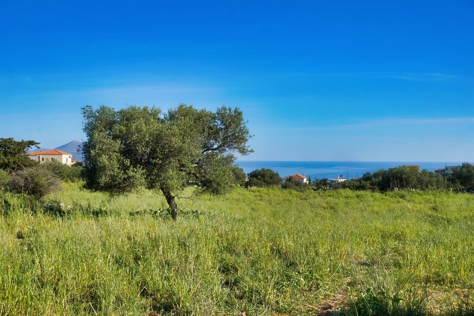 Land in Vafes - view 1