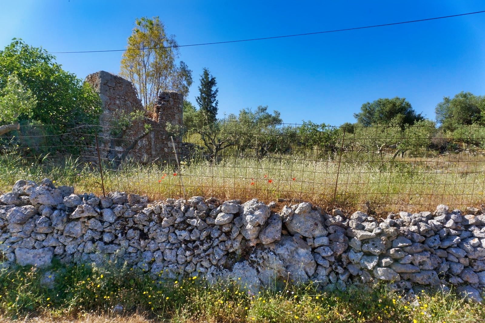 Land in Vafes - view 1