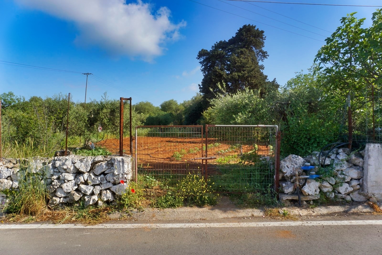 Land in Vafes - view 1