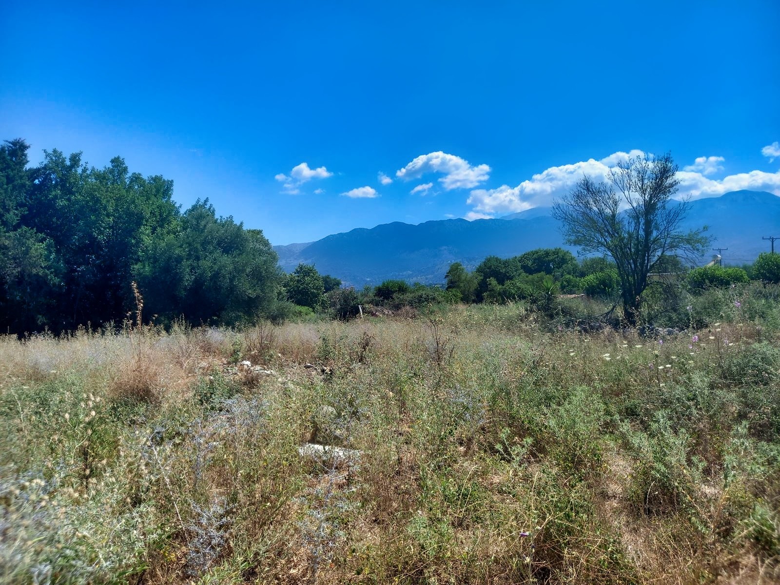 Land in Krionerida - view 1
