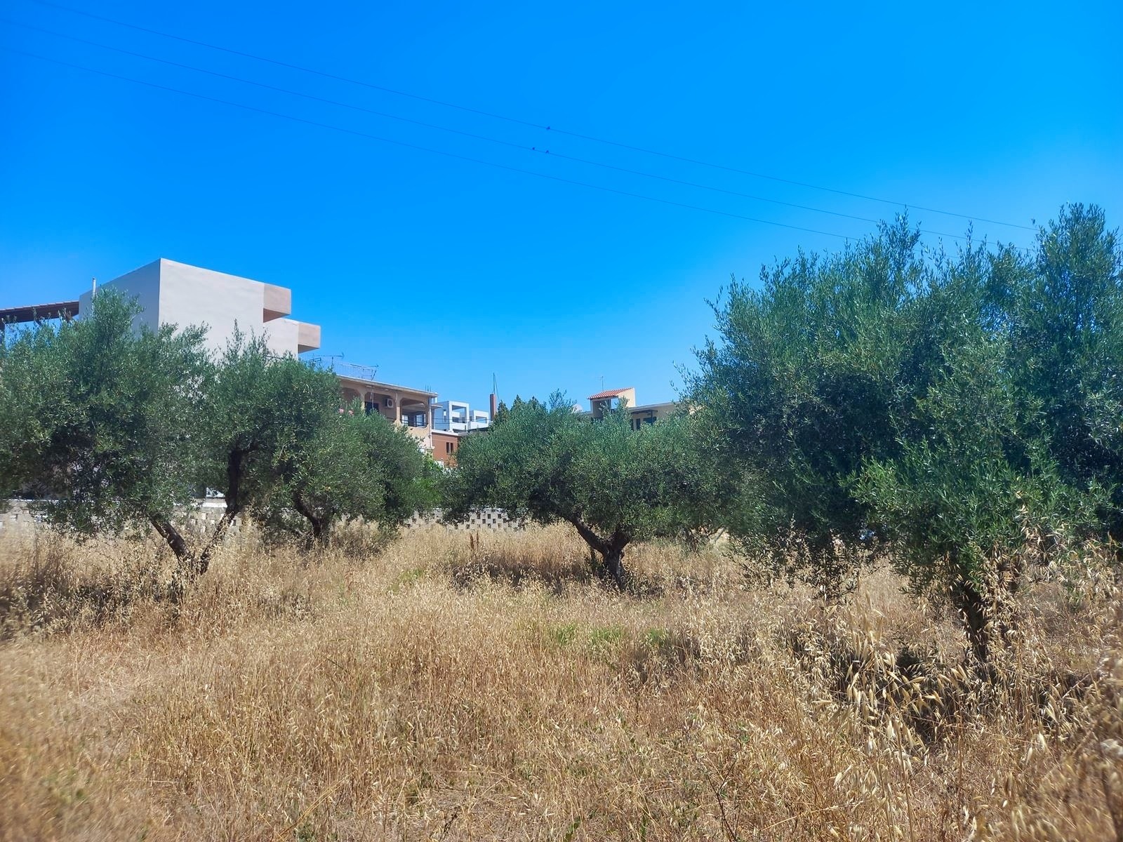 Land in Vafes - view 1