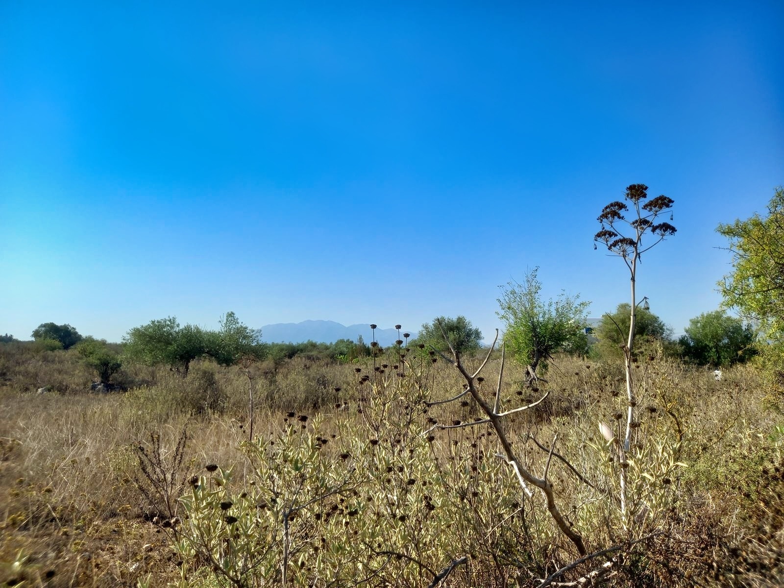 Land in Vafes - view 1