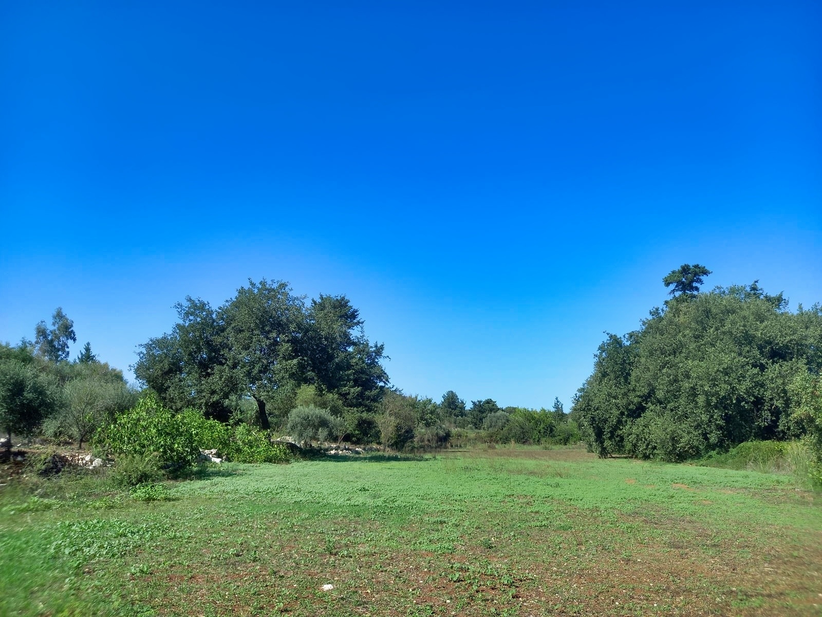 Land in Vafes - view 1
