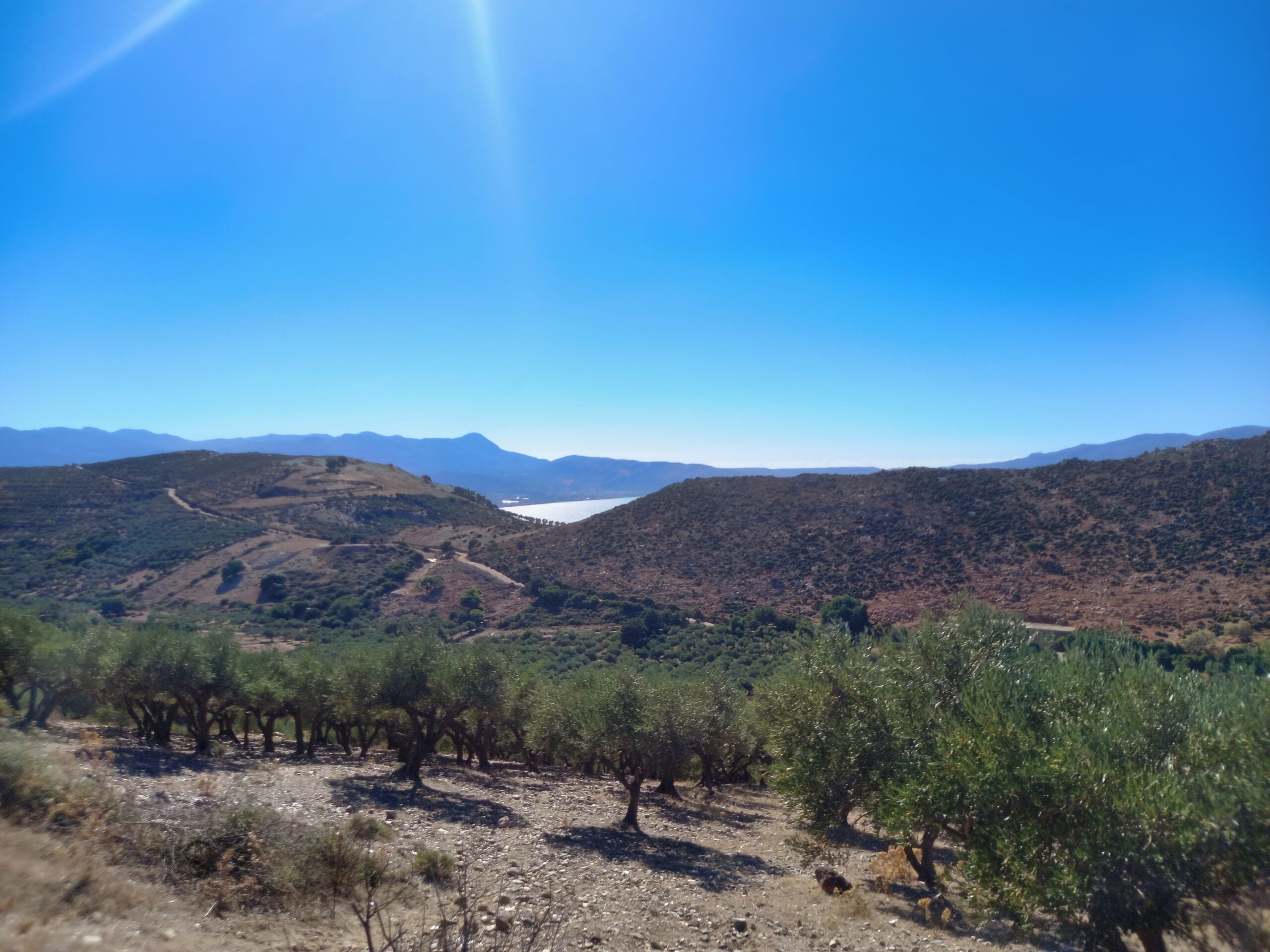Land in Kolymvari - view 1