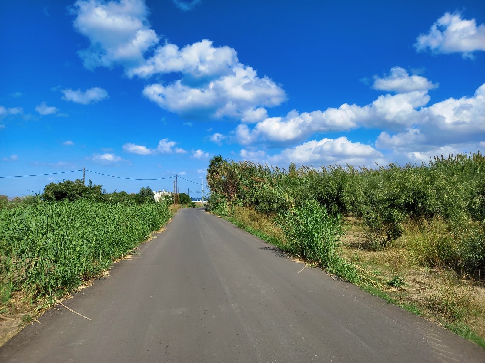 Land in Kissamos - view 1