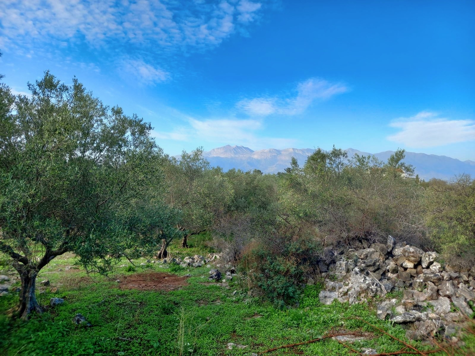 Land in Vafes - view 1