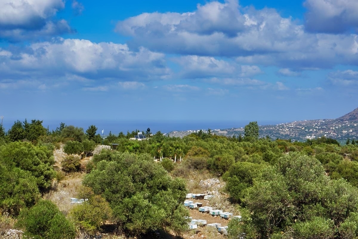 Land in Vafes - view 1