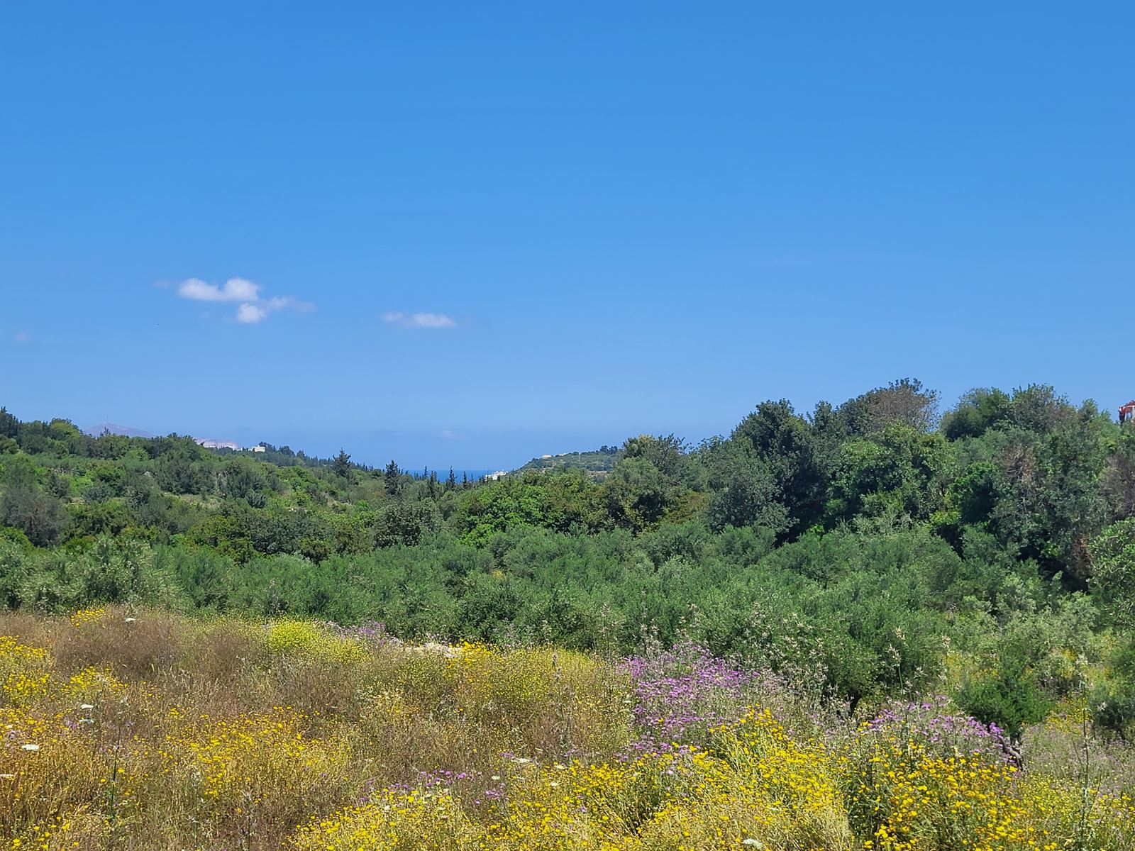 Land in Agios Pavlos - view 1