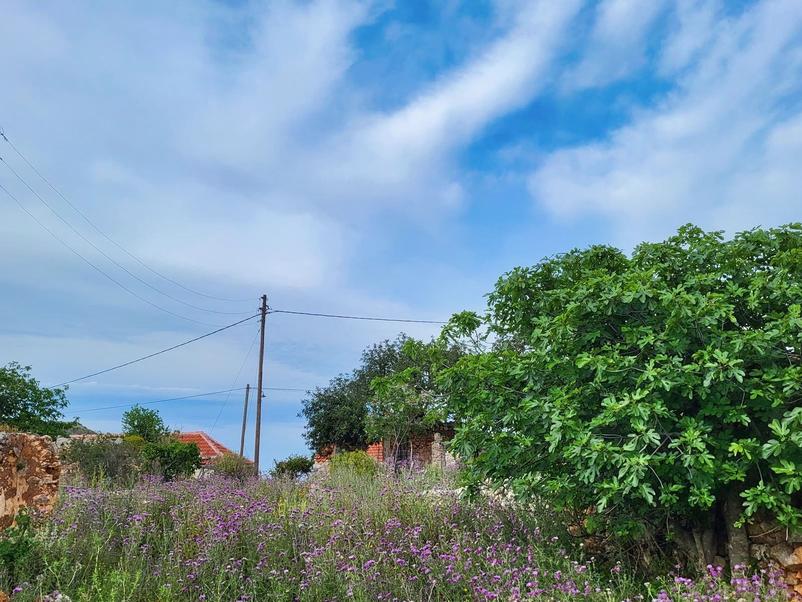 Land in Vafes - view 1