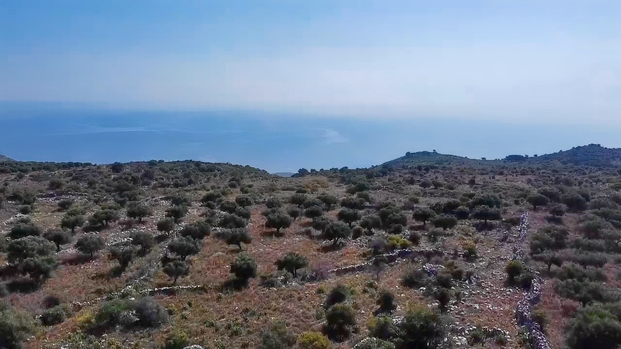 Land in Vafes - view 1