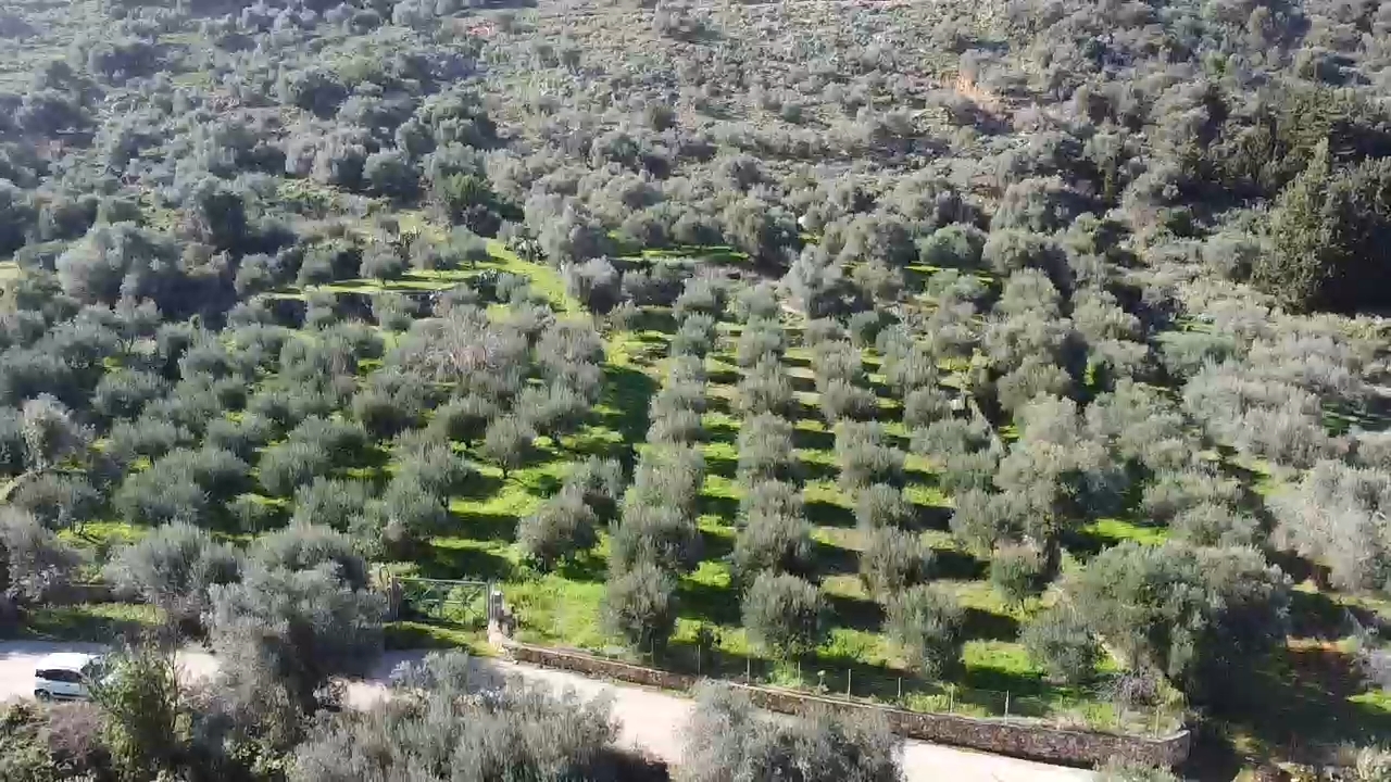 Land in Vafes - view 1