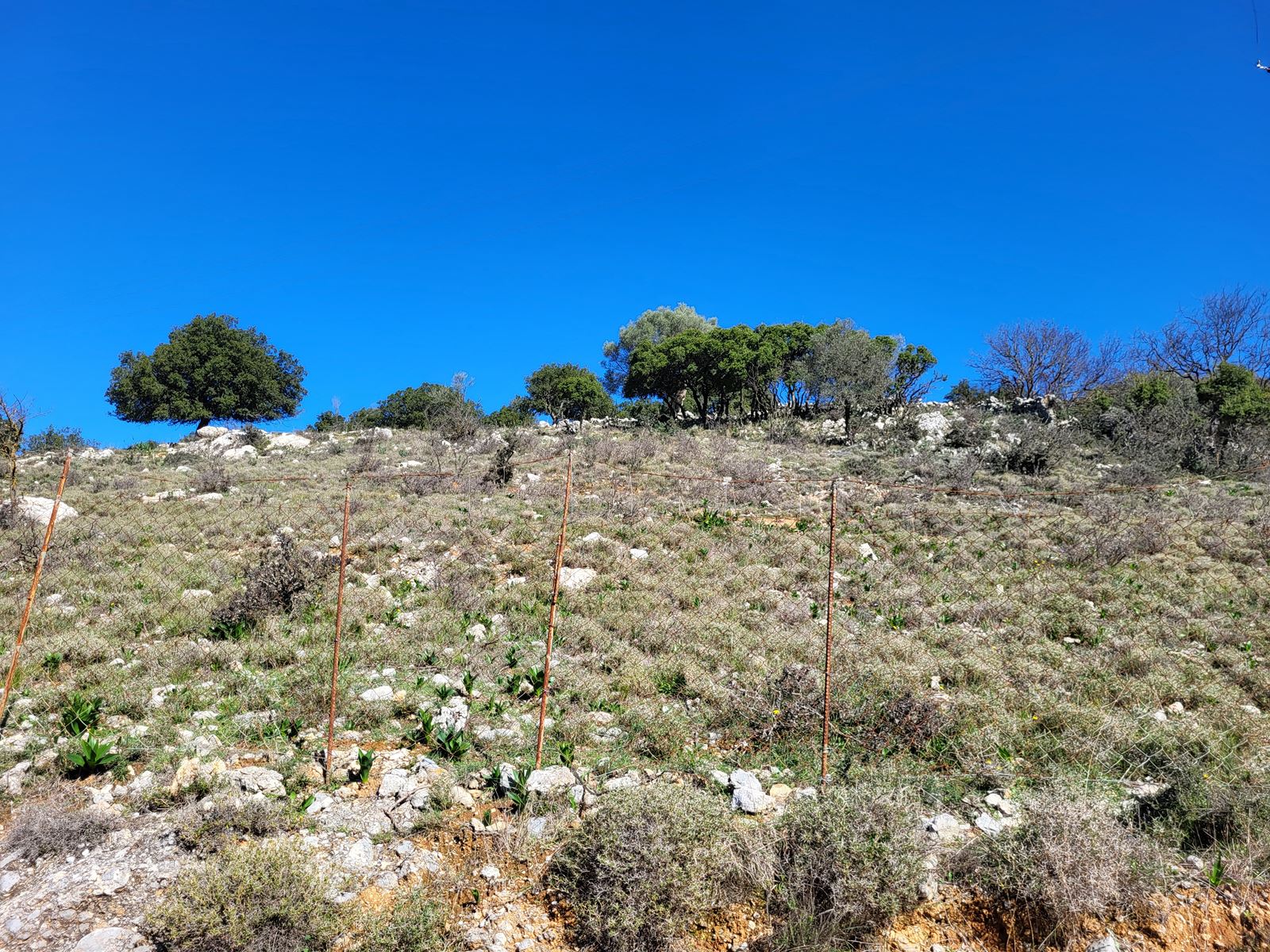 Land in Kampoi - view 1