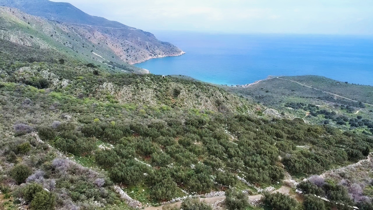 Land in Vafes - view 1