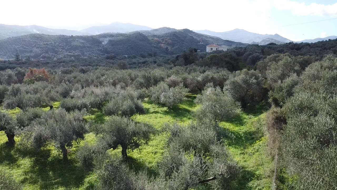 Land in Voukolies - view 1