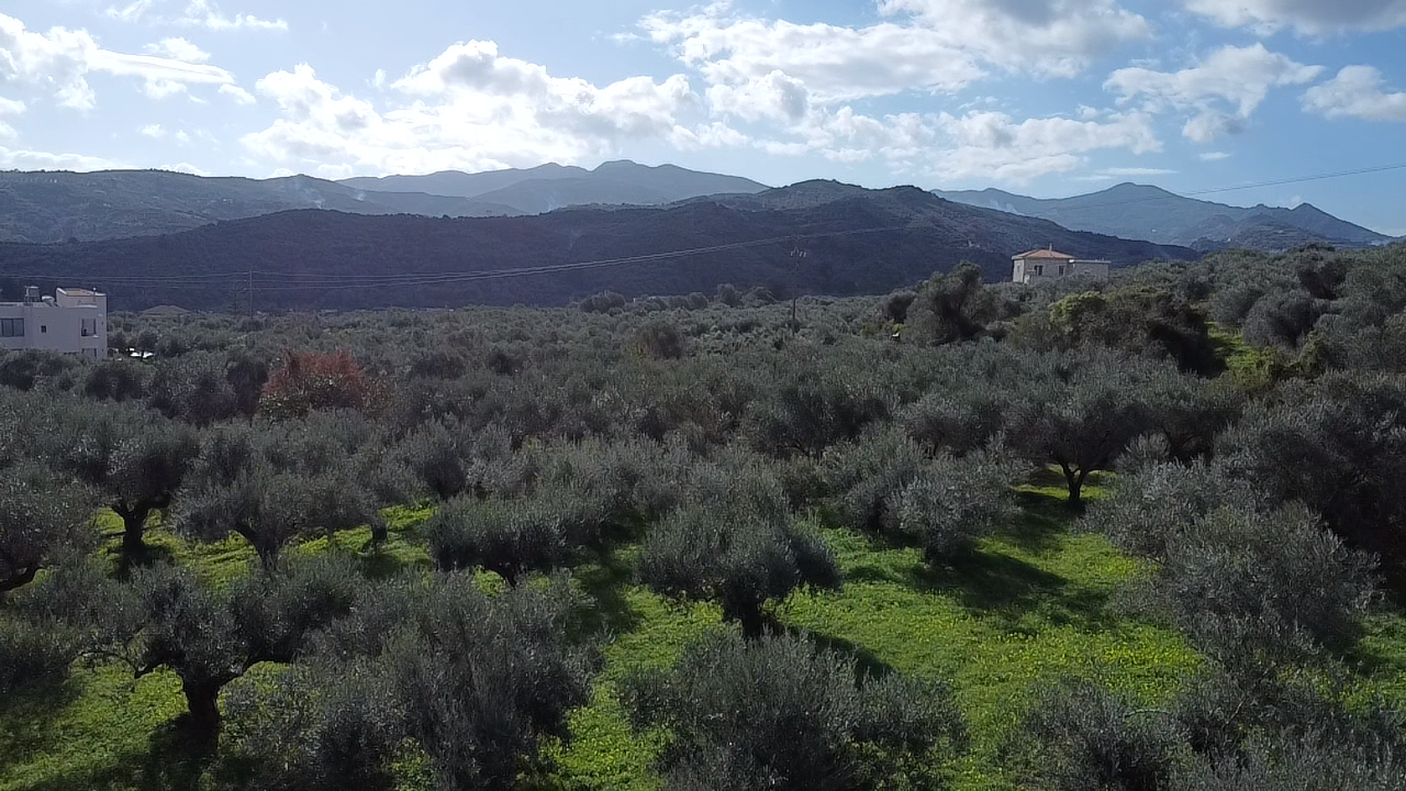 Land in Voukolies - view 1