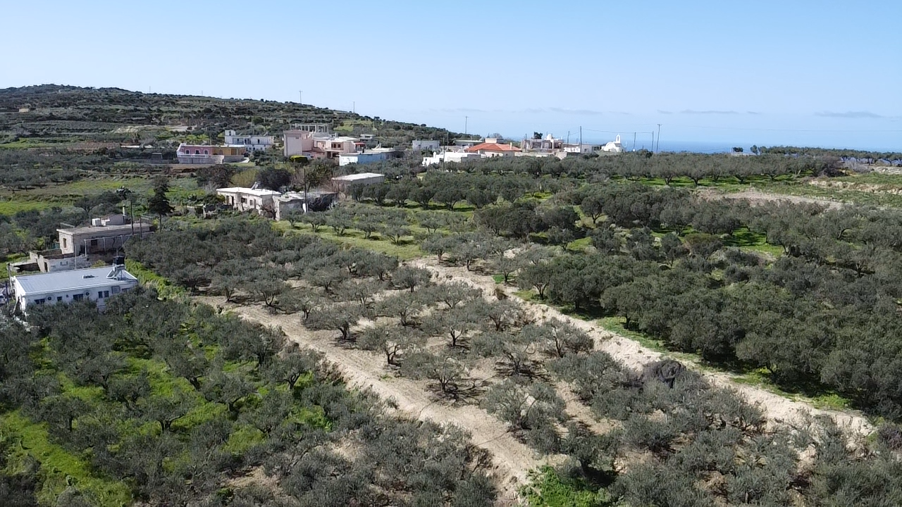 Land in Kissamos - view 1