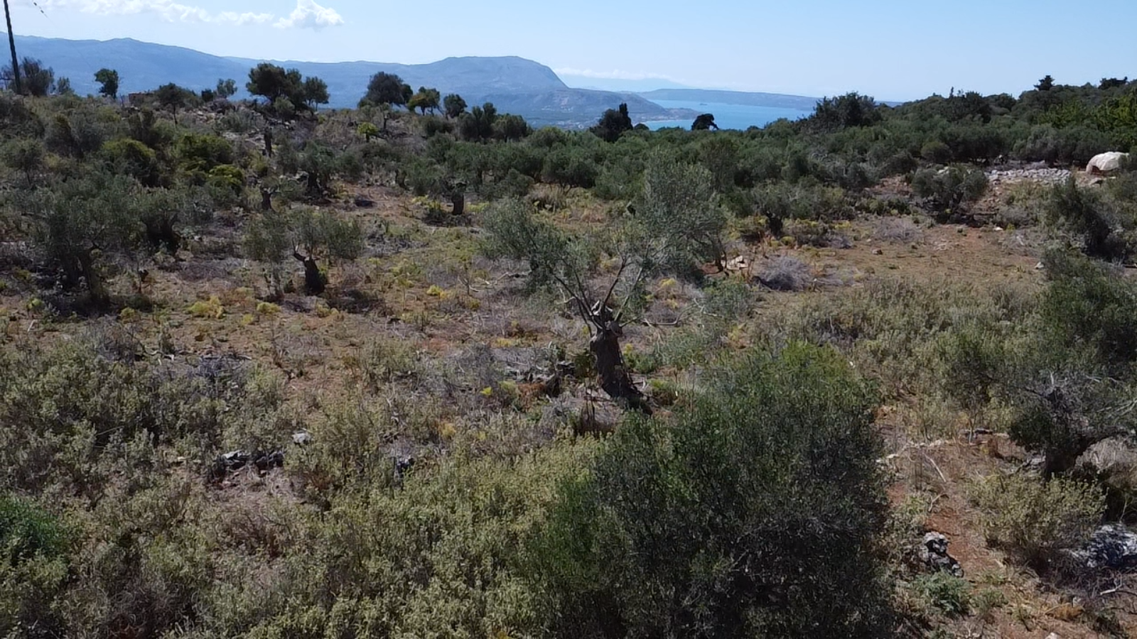 Land in Vafes - view 1