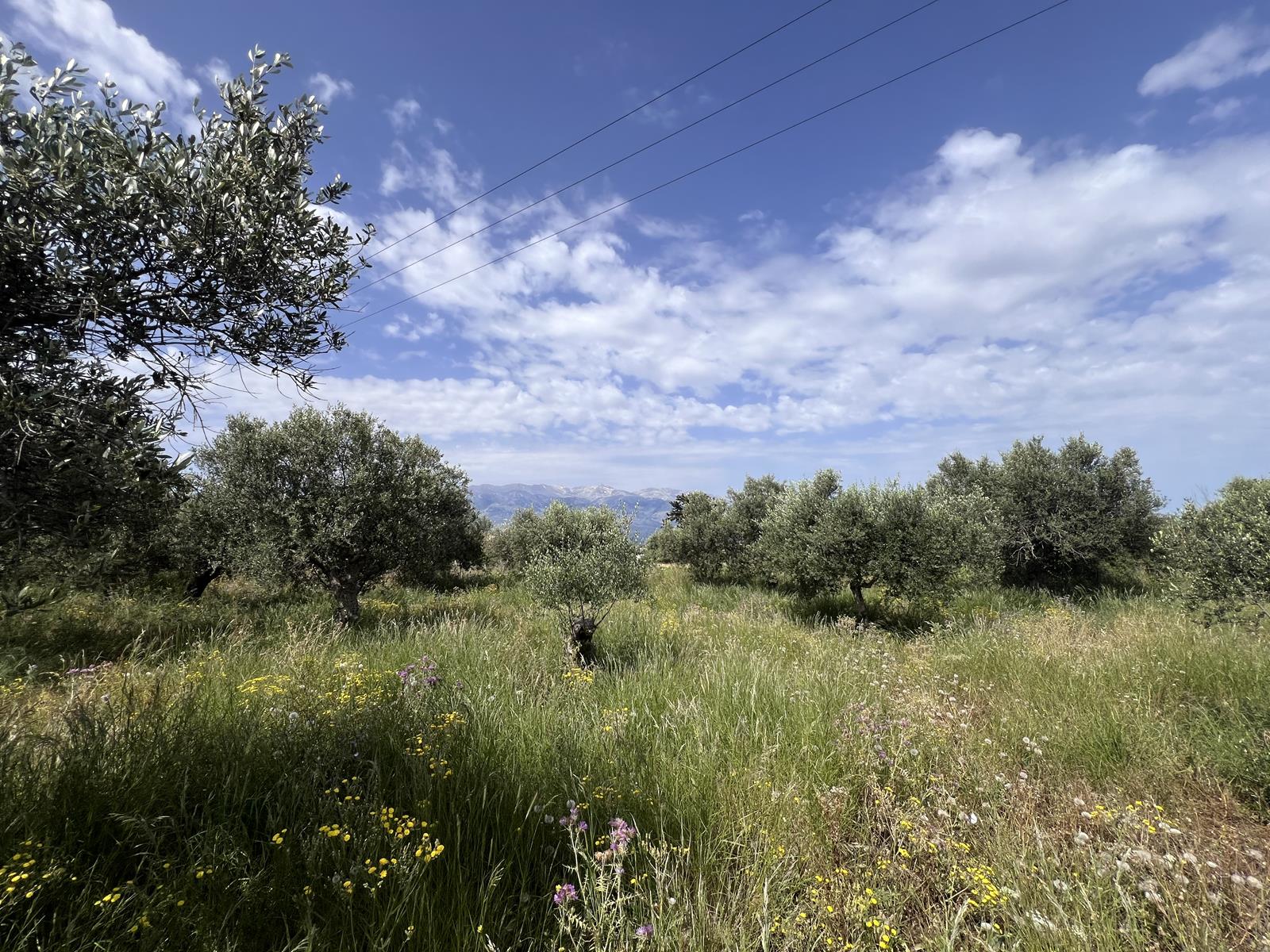 Land in Vafes - view 1