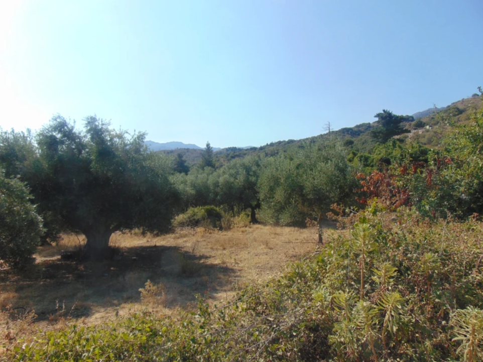 Land in Vafes - view 1