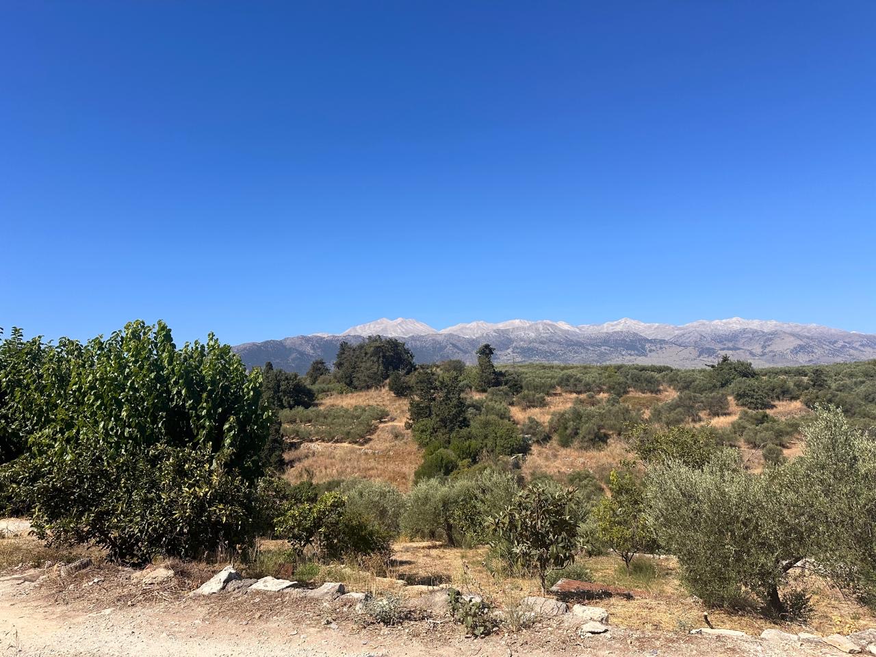 Land in Apokoronas - view 1