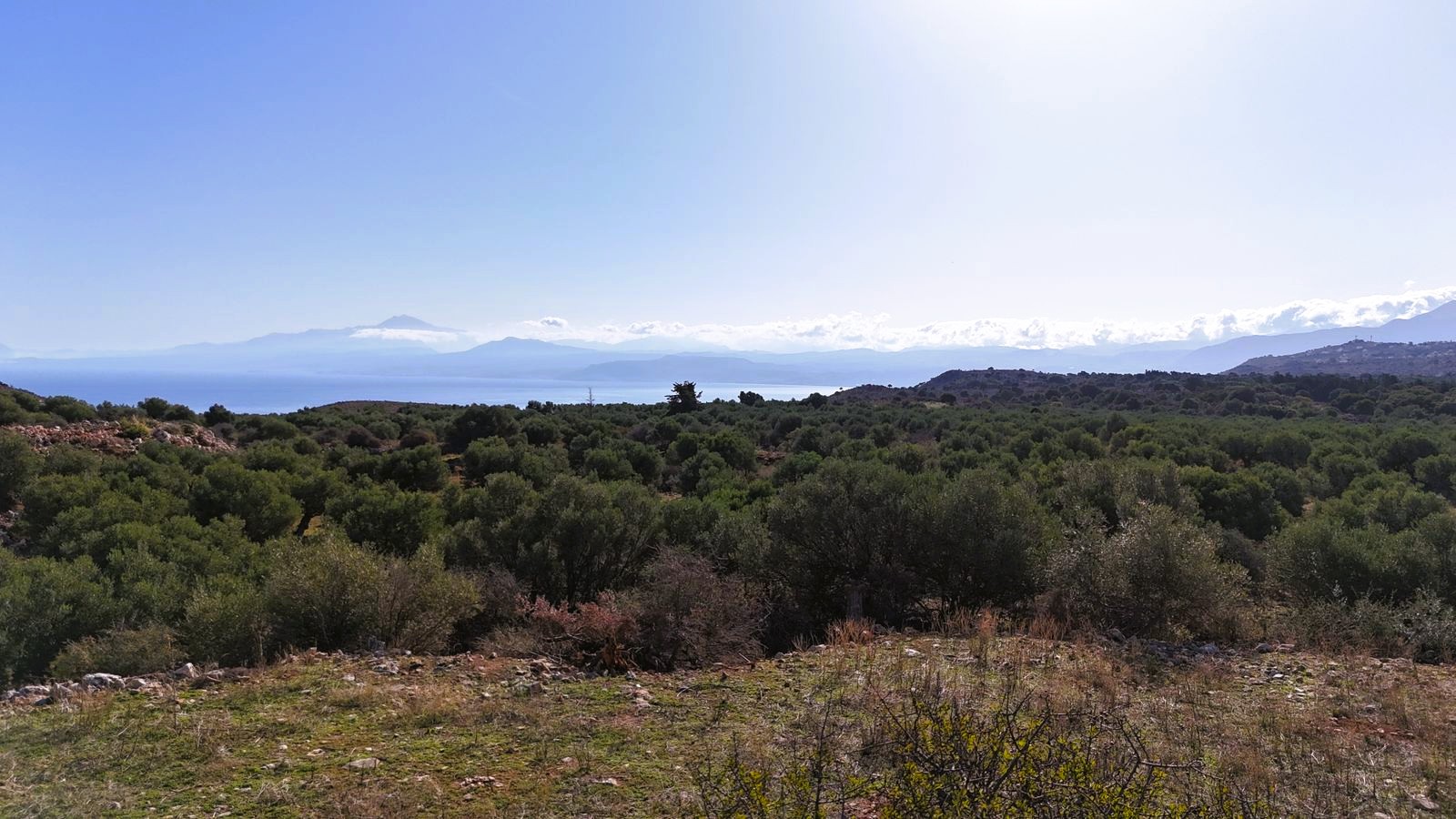 Land in Drapanos - view 1