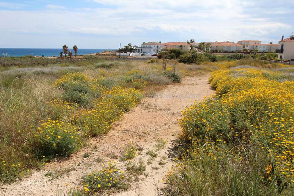 House in Paralimni - view 1