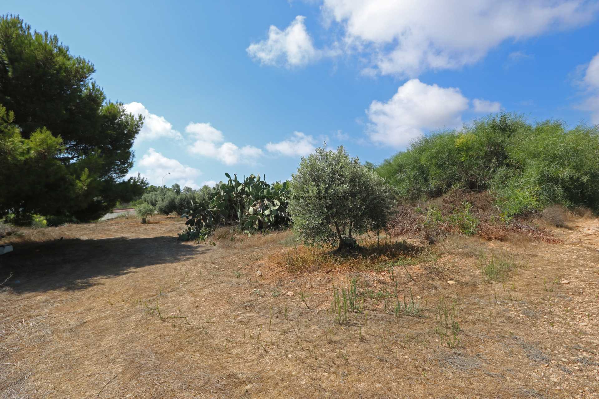 House in Protaras - view 1