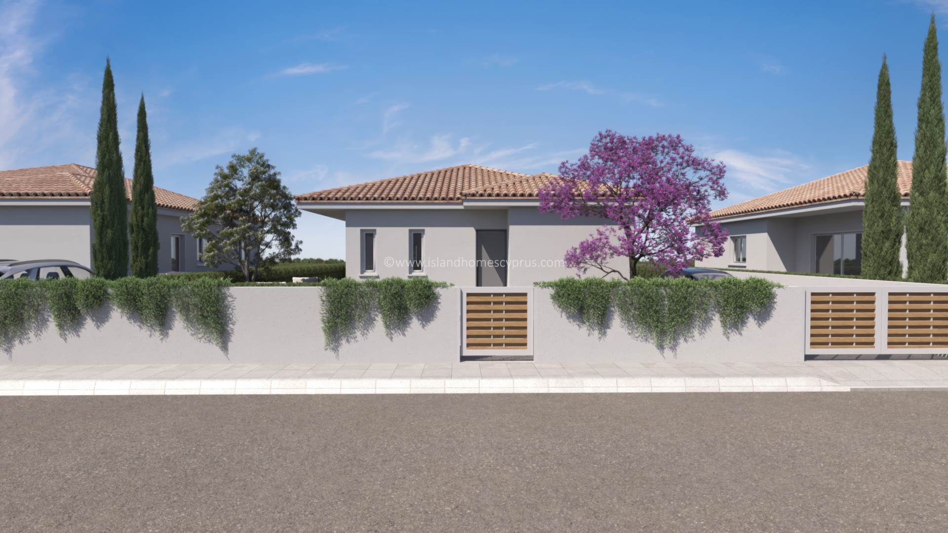 House in Frenaros - view 1