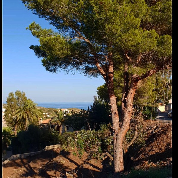Villa in Sant Joan d'Alacant - view 1