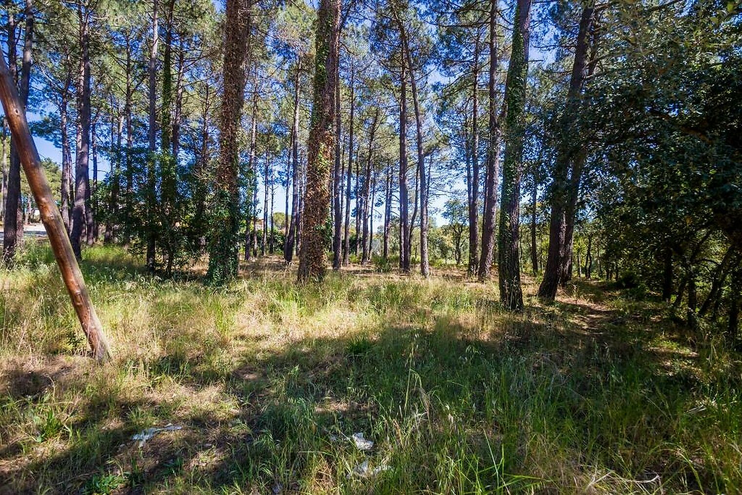 Land in Santa Cristina d'Aro - view 1