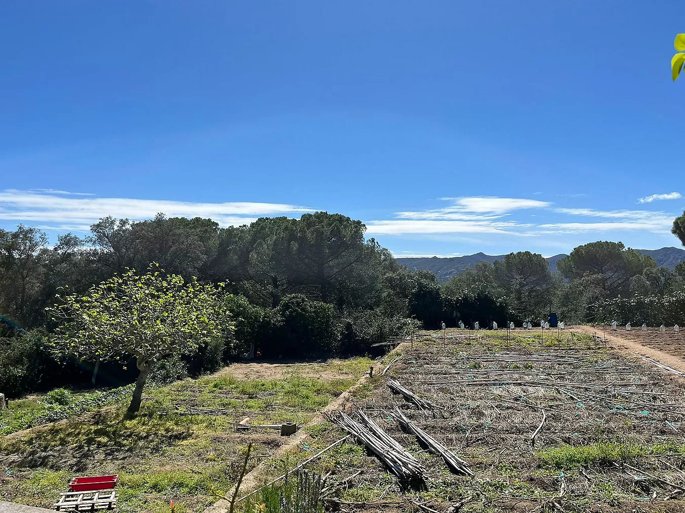 Land in Santa Cristina d'Aro - view 1