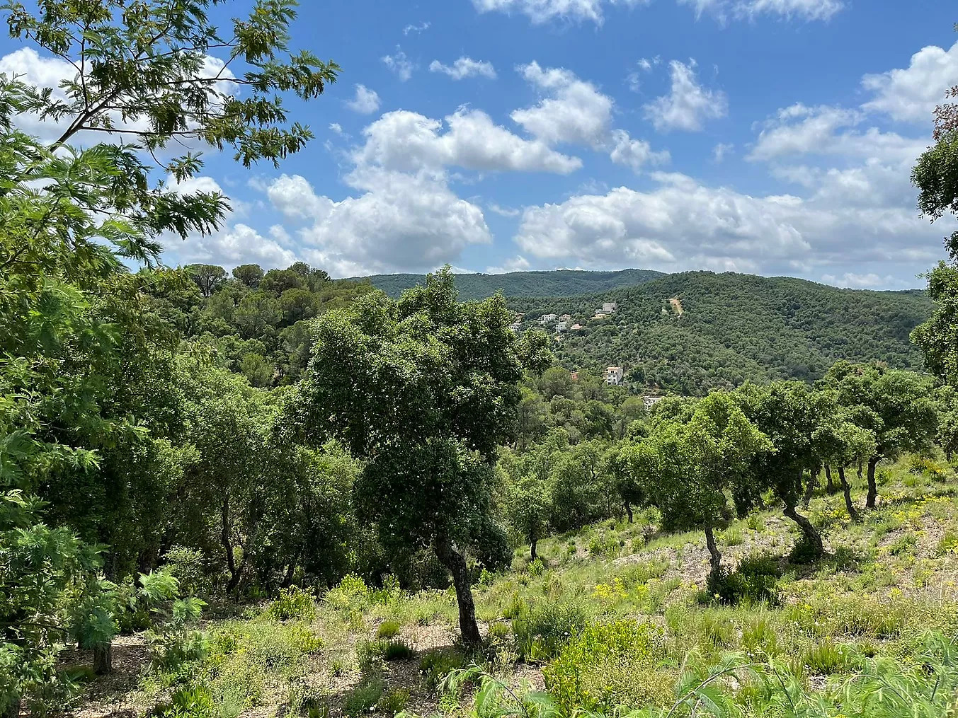 Land in Sant Antoni de Calonge - view 1