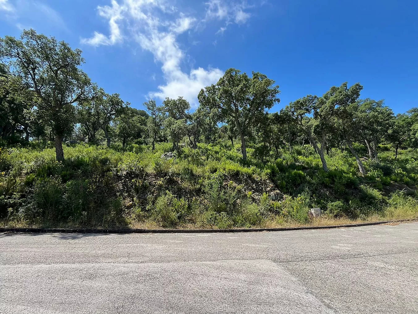 Land in Sant Antoni de Calonge - view 1