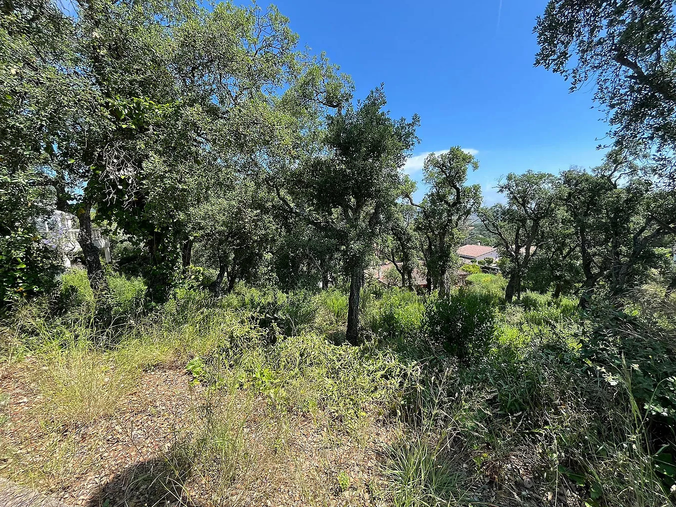 Land in Sant Antoni de Calonge - view 1
