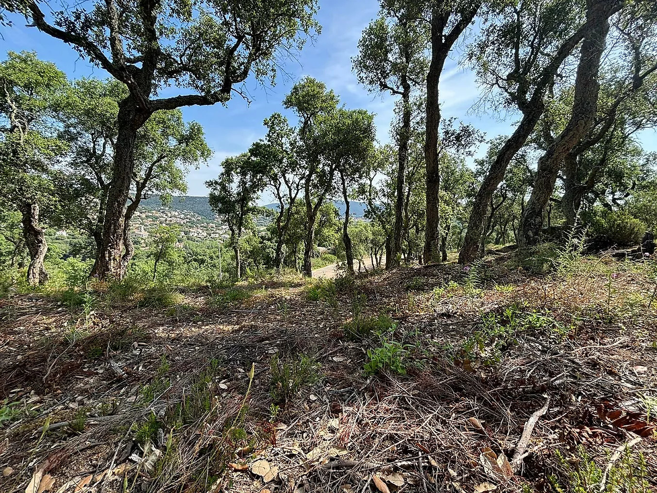 Land in Sant Antoni de Calonge - view 1