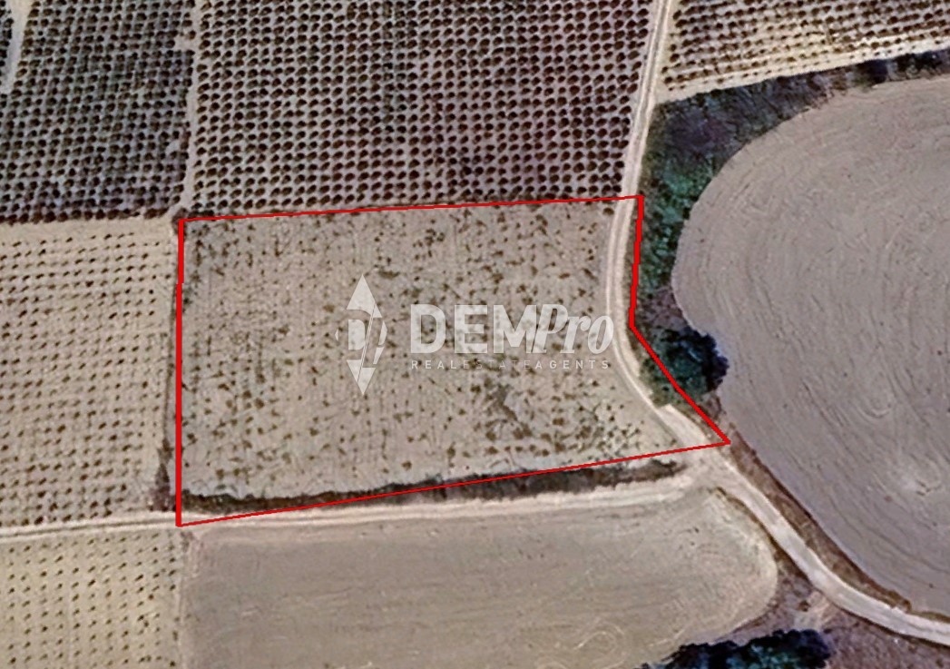 Land in Polemi - view 1