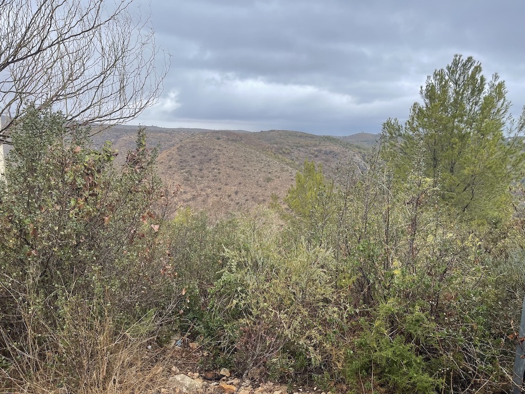 Land in Mahon - view 1