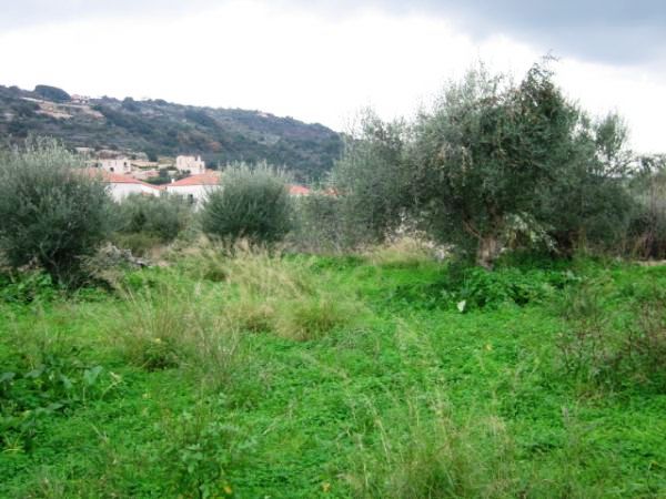 House in Chania - view 1