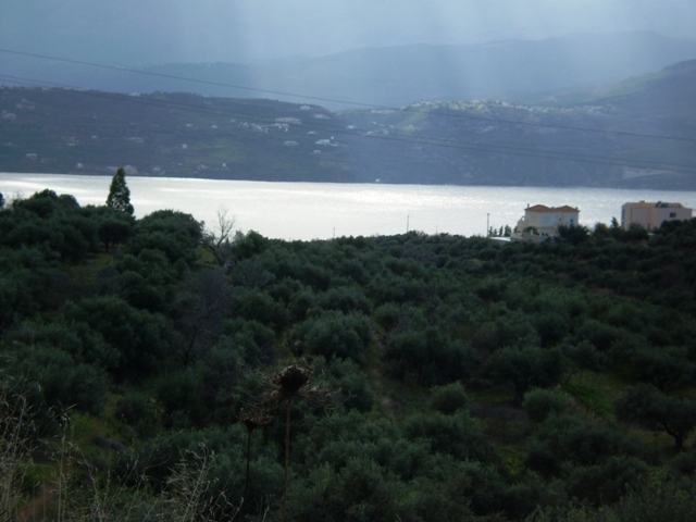 House in Sternes - view 1
