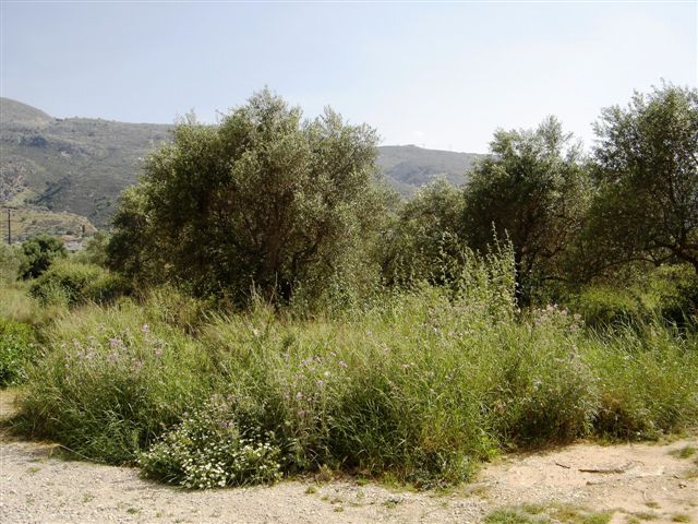 House in Souda - view 1