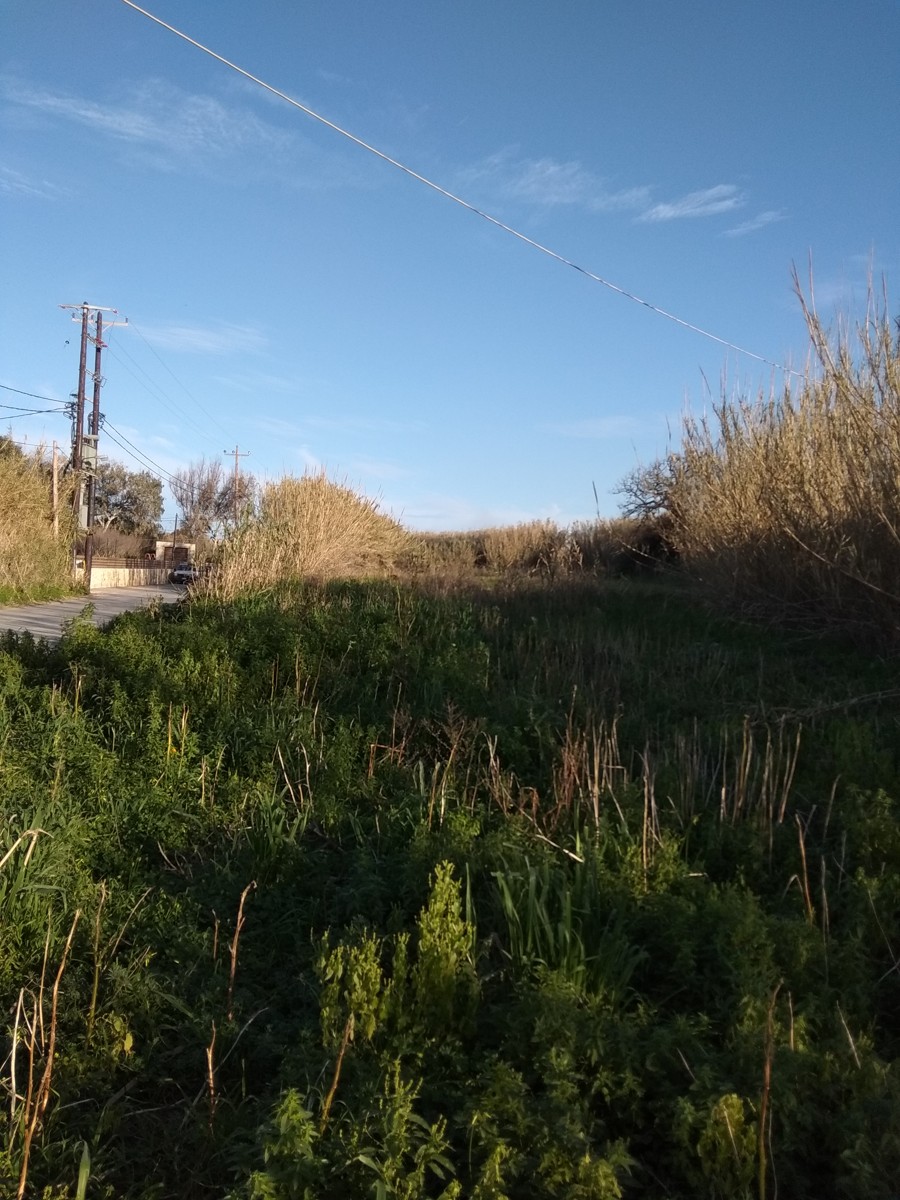 House in Pano Gerani - view 1