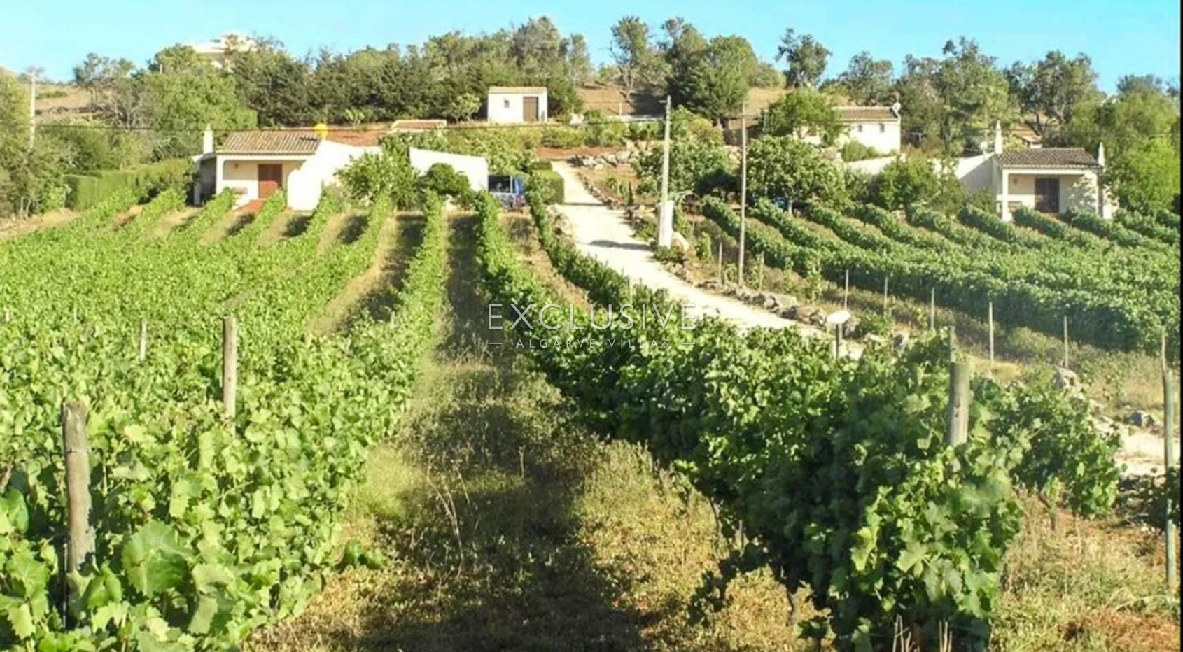 Land in Faro - view 1